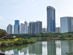 -万绿园