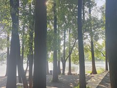 -东湖落雁景区