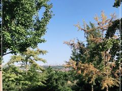 -北京西山国家森林公园