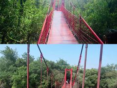 -上海吴淞炮台湾国家湿地公园