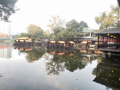 -侨美·唐荔园·40年地道粤菜