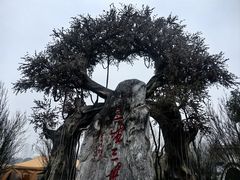 -昌州古城