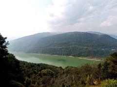 -铁山坪森林公园