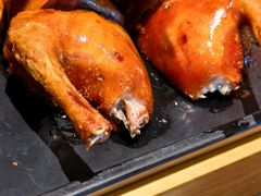 -羽鸽集·乳鸽专门店·地道顺德菜(岭南站店)