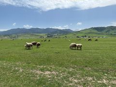-新疆那拉提国家旅游度假区