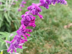 -重庆中央公园(渝北区)