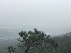 -牛鱼嘴原始生态风景区