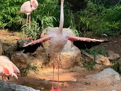 -昆明动物园