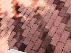-美联众合宠物医院·爱萌分院·内外科·猫科中心