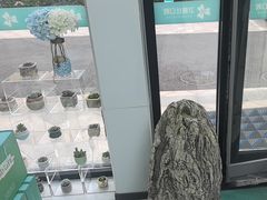 -卫雅仕口腔