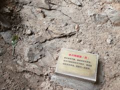 -中国第四纪冰川遗迹陈列馆
