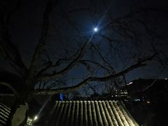 -SUSU·苏苏(四合院创始店)