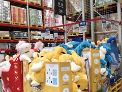 -山姆会员商店(亦庄创意生活广场店)