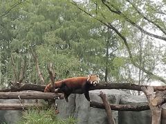 -武汉动物园