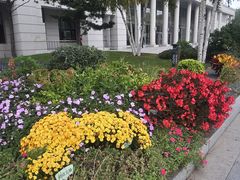 -大连理工大学中心-食堂