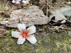 -溪口-滕头旅游景区