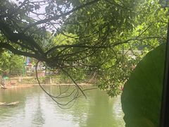 -生态苑农庄(十里画廊遇龙河店)