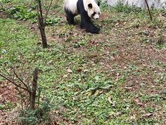 -黔灵山公园