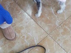 -A猫a狗全科·犬猫异宠·芥西宠物医院(南开总院)