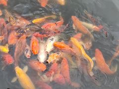 -上海大学(宝山校区)