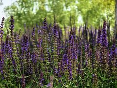 -汉长安城未央宫国家考古遗址公园