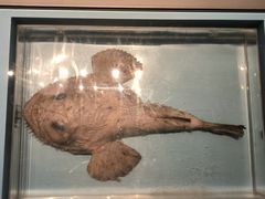 -舟山博物馆