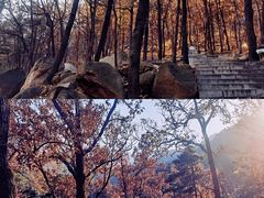 -沂蒙山旅游区云蒙景区(蒙山国家森林公园)