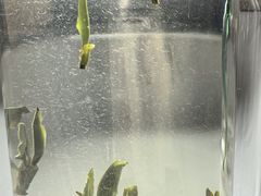 -吴裕泰茶庄(鼓楼店)