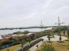 -芒洲湿地公园