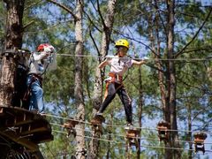 -九龙江国家森林公园