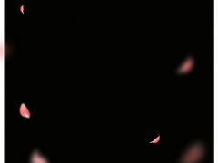 -千纸鹤嫩汁烤肉(西大直街店)