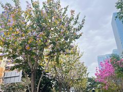 -瑞幸咖啡(上梅林地铁站店)