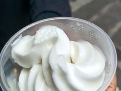 -洪馨椰子