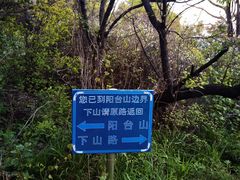 -阳台山自然风景区