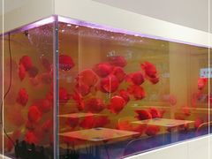 -蟹小满·蟹黄捞面(杭州西湖店)
