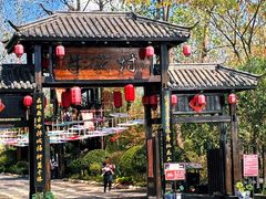 -合肥滨湖国家森林公园