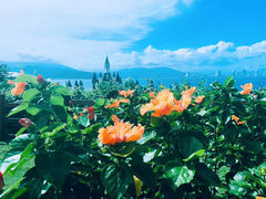 -芽庄珍珠岛游乐园