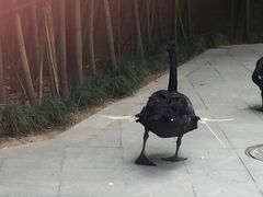 -西安曲江寒窑遗址公园