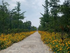 -森林公园(尖草坪区)