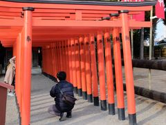 -水前寺成趣园