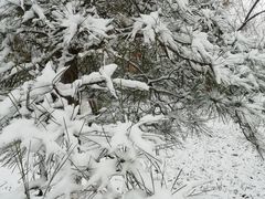 -丰台科技园生态主题公园