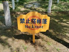 -大兴滨河森林公园