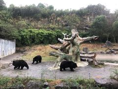 -宁波野生动物园