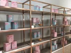 茶-奈雪的茶(石家庄万象城店)