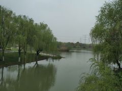 -九里河湿地公园