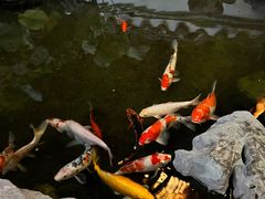 -道南書院·私房菜·早午茶·茶馆