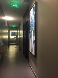 -奈瑞儿美颜美养SPA