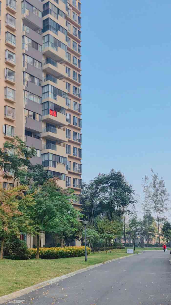 五彩城-一标段-"就是五彩城楼盘附近的一条路而已."-大众点评移动版