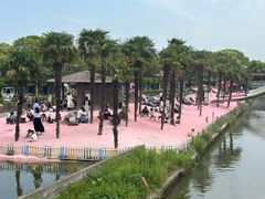 -苏州太湖西山岛开心农场