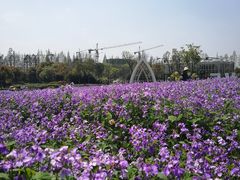 -歌斐颂巧克力小镇